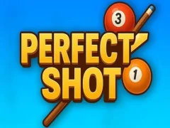 Perfect Shot