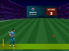 Cricket Night 2