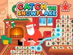 Catch The Snowflake