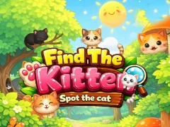 Find the Kitten Spot the Cat
