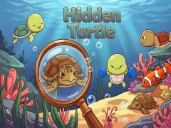 Hidden Turtle