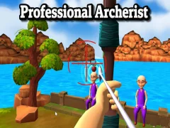 Professional Archerist