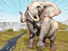 Zoo Anomaly Simulation