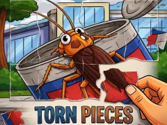 Torn Pieces