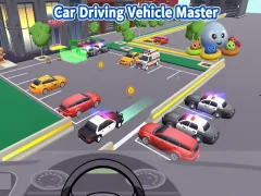 Car Driving Vehicle Master