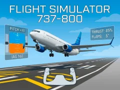 Flight Simulator 737-800