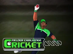 Cricket Fielder Challenge