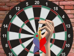Darts 501