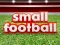 Small Football