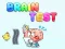 Brain Puzzle