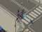 Zombie Crowd