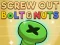 Screw Puzzle Nuts and Bolts