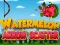 Watermelon Arrow Scatter