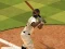Baseball Pro