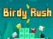 Birdy Rush