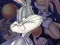 Space Jam