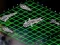 Intergalactic Battleships