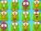 Plant Evolution