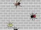 Spider Apocalypse