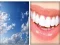 4x1 Picture Quiz