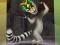 King Julien: Trommel-Tanz