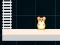 Hamster Grid Even Odd