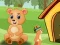 Bear Home