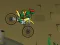 Ninja Turtle Bike