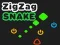 ZigZag Snake