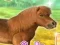 My Dear Pony
