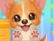 Adopt Your Pet Puppy