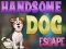 Handsome Dog Escape