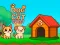 Dog and Cat Sweet