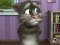 Talking Tom Cat 2