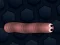 Math Slither
