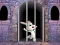 Victory Rabbit Escape