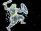 Constellations