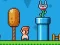 Ninja Plumber