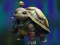 Isolated Turtle Escape