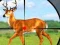 Wild Hunt Hunting Games 3D