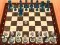 Chess Master 3D