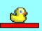Ducky Adventures
