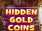 Hidden Gold Coins