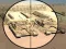 Camo Sniper