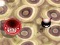 Bouncing Blob