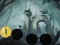 Hungry Devil Forest Escape