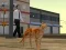 Cat City Simulator