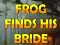 Frog Finds His Bride