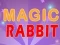 Magic Rabbit