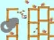 Who Says Pigs Can't Fly